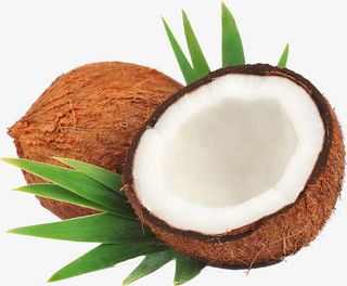 新鲜椰果肉免抠