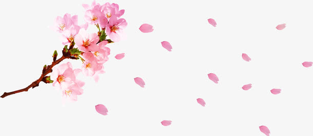 粉色桃花飞舞花瓣免抠