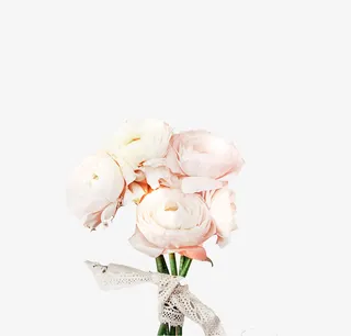 白色美丽康乃馨花束免抠