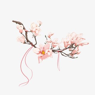 清新小花卡通插画17免抠