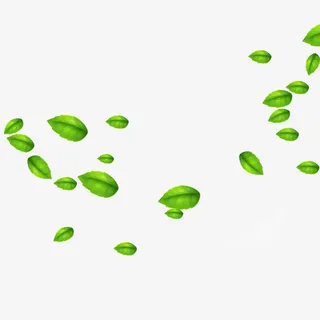 漂浮的树叶免抠漂浮叶子元素