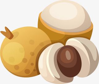 手绘黄色龙眼免抠