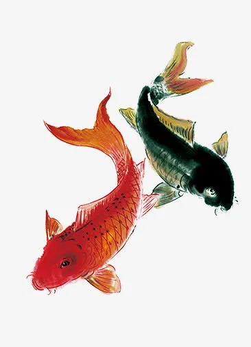 鱼免抠