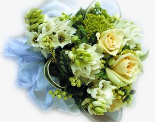 黄色清新花朵绿叶免抠