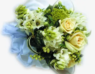 黄色清新花朵绿叶免抠