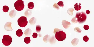 情人节花瓣免抠