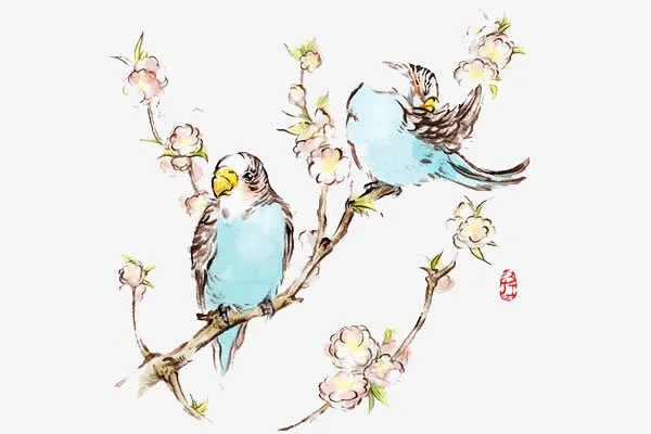 水彩花鸟免抠