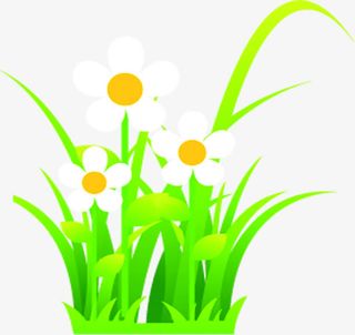 春天手绘小草花朵免抠