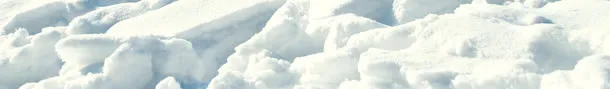 雪免抠