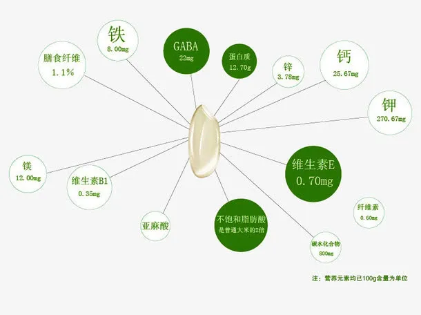大米营养分析图免抠