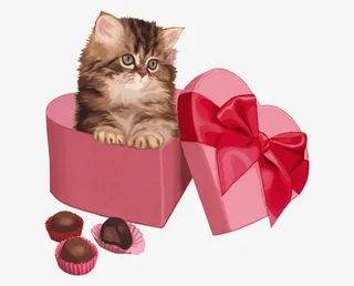 情人节送给爱人的可爱猫咪礼物免抠
