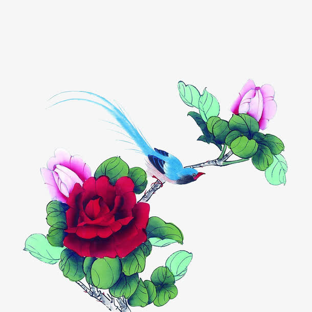 富贵花开免抠