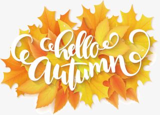 你好秋天枫叶免抠