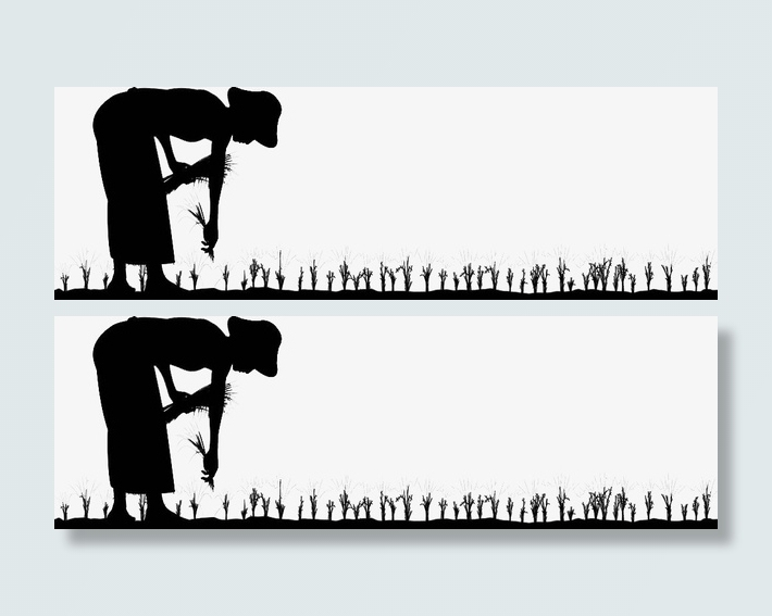 农村妇女弯腰插秧剪影免抠