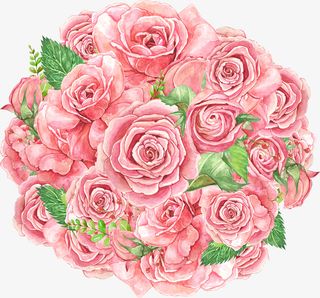 卡通手绘粉色的玫瑰花免抠