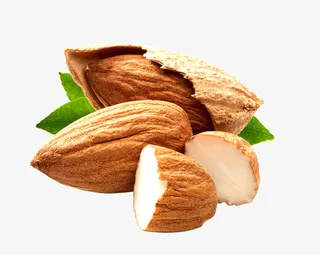 坚果巴旦木免抠