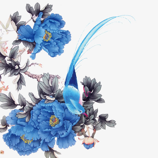 花鸟图免抠