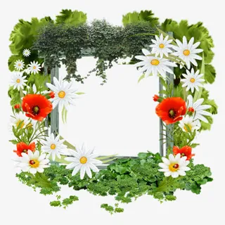 花朵环绕边框免抠