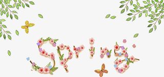 创意的树枝免抠