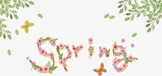 创意的树枝免抠