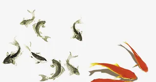 水墨鱼免抠