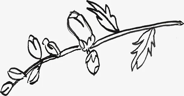 线描树枝免抠
