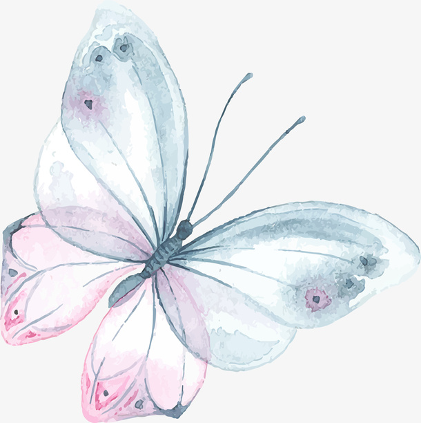 唯美蝴蝶装饰素材免抠