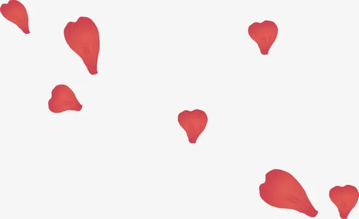 漂亮的花瓣免抠