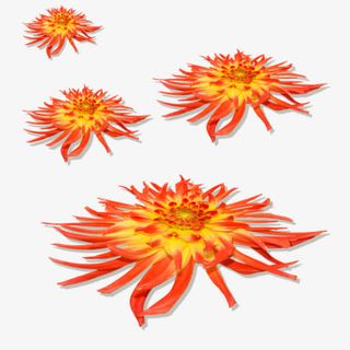 橙色菊花飘落png图免抠
