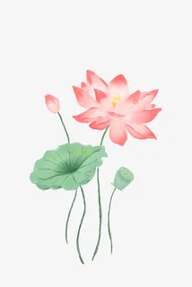 夏季荷花手绘卡通元素图免抠