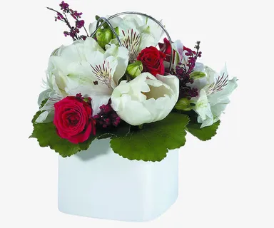 高清白色花朵绿叶免抠