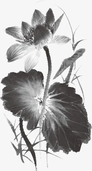 中国风海报黑色绘画植物莲花效果免抠