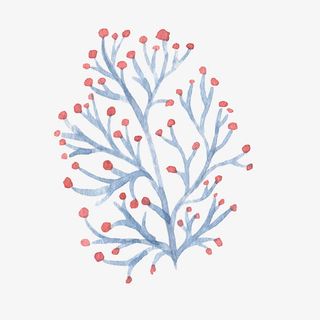 个性水墨枯树枝免抠