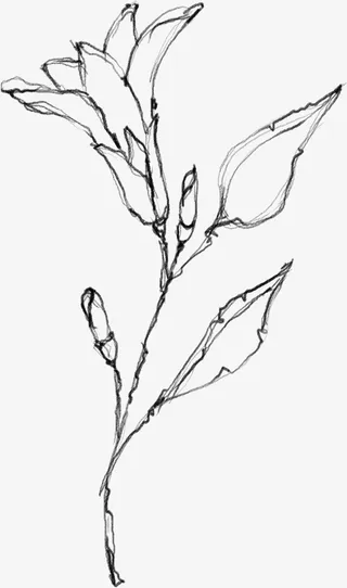 水墨植物元素23免抠