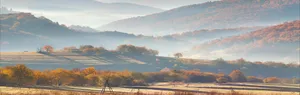 金秋枫叶山脉森林大地高清
