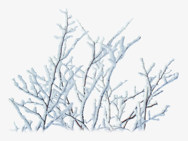 卡通手绘冬天雪景树枝免抠