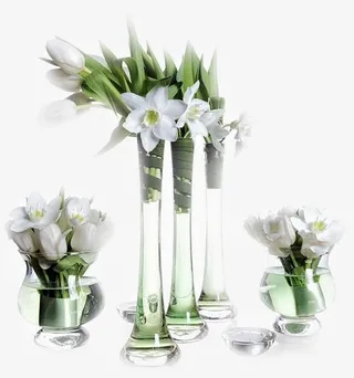 卡通装饰图片花草画免抠