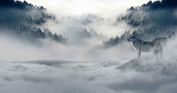 冬天雪景山川高清