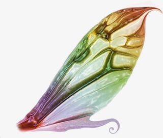 彩色纹理蝴蝶翅膀免抠