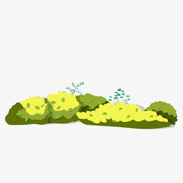 绿色草丛叶子免扣元素免抠