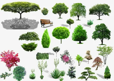 植物素材免抠 植物素材免抠