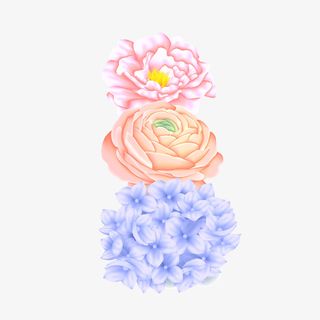 彩色手绘花球矢量图免抠