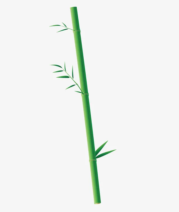 竹竿素材免抠