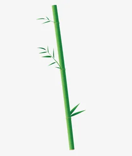 竹竿素材免抠