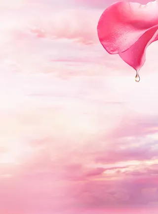 粉色系花瓣背景高清