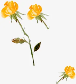 中国风黄色花朵免抠