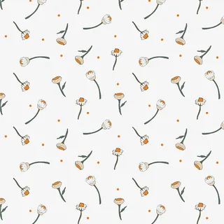 漂浮小雏菊图片素材免抠