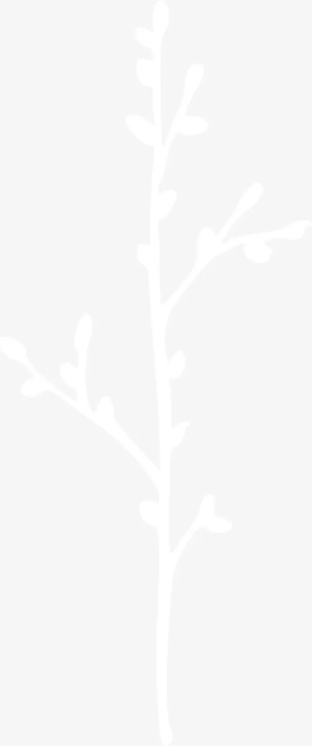 卡通树枝免抠