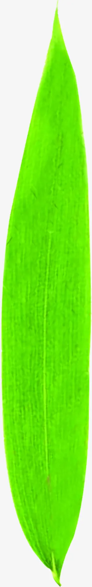 青翠绿色细叶端午免抠