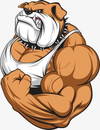 卡通沙皮狗免抠